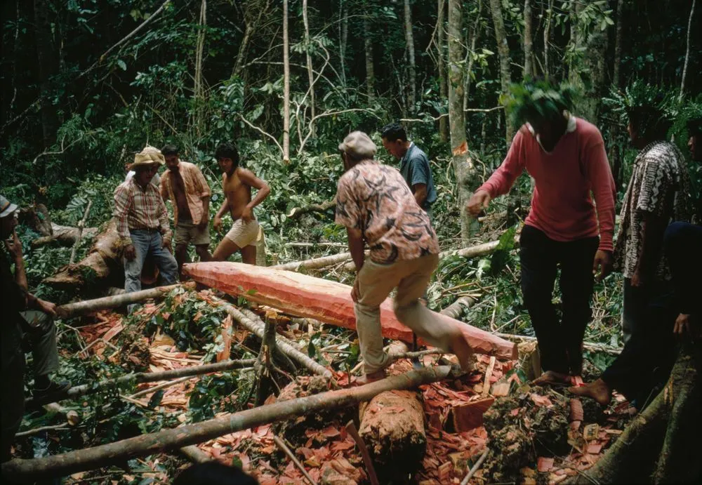 Canoe Making in Niue