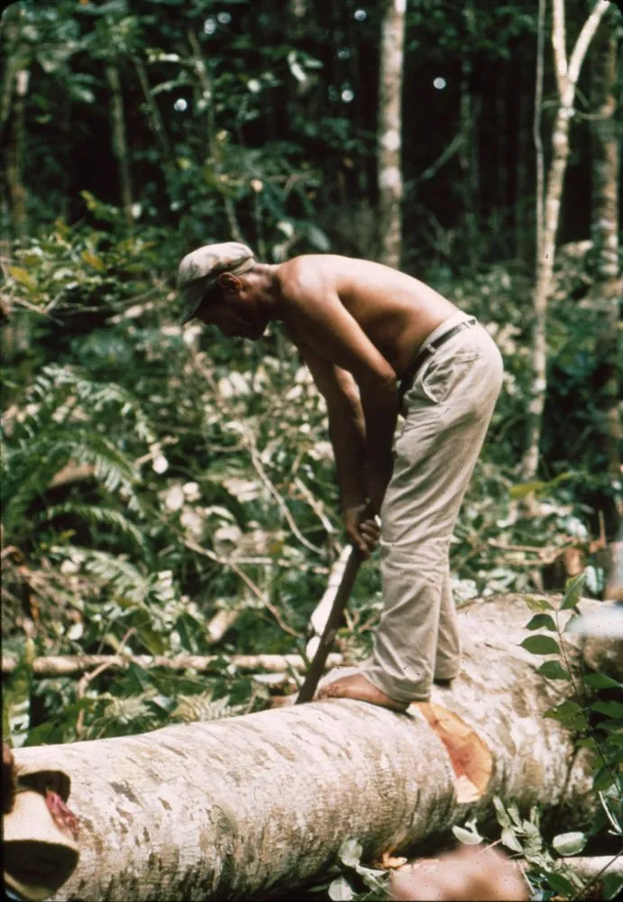 Canoe Making in Niue