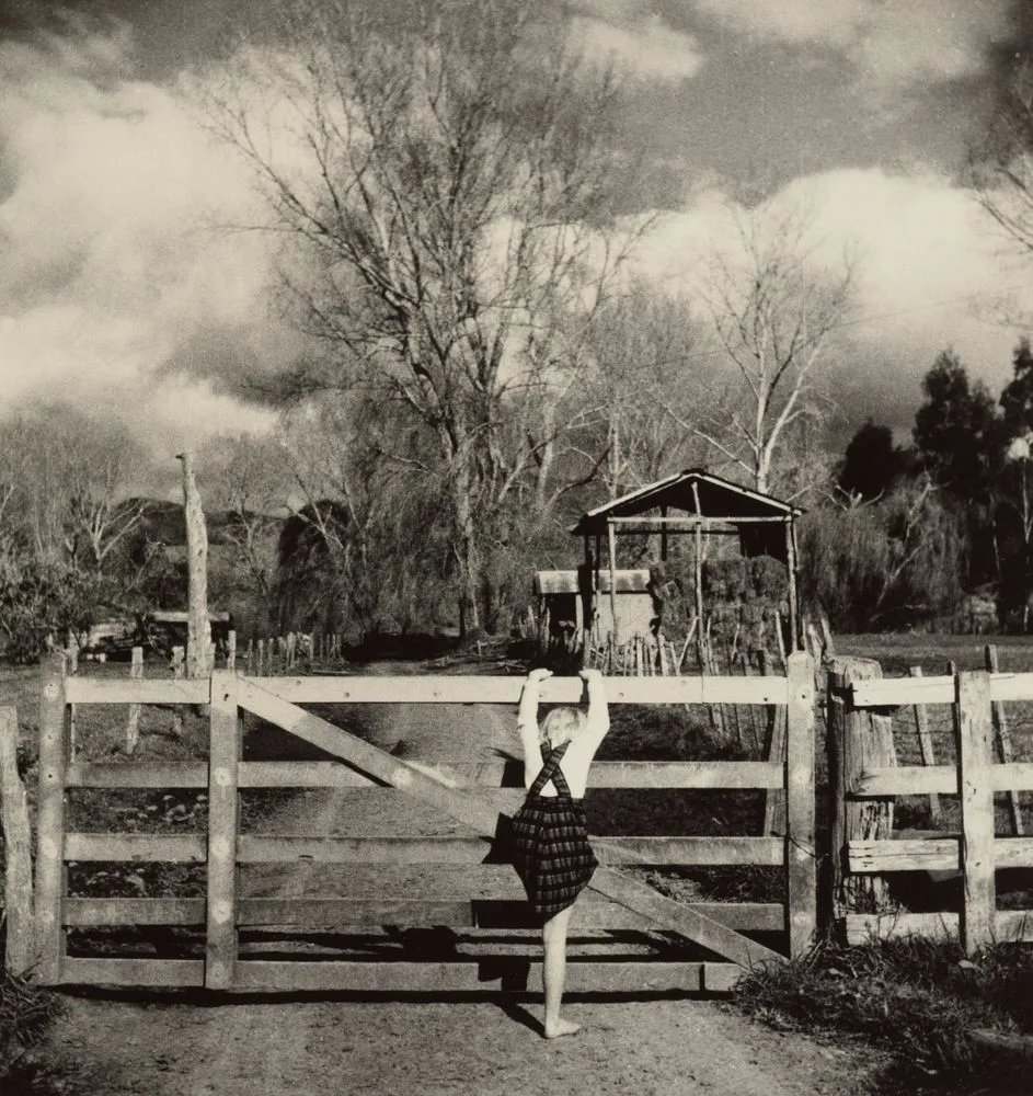 Gate to the farm, Spring scene in Waimamaku