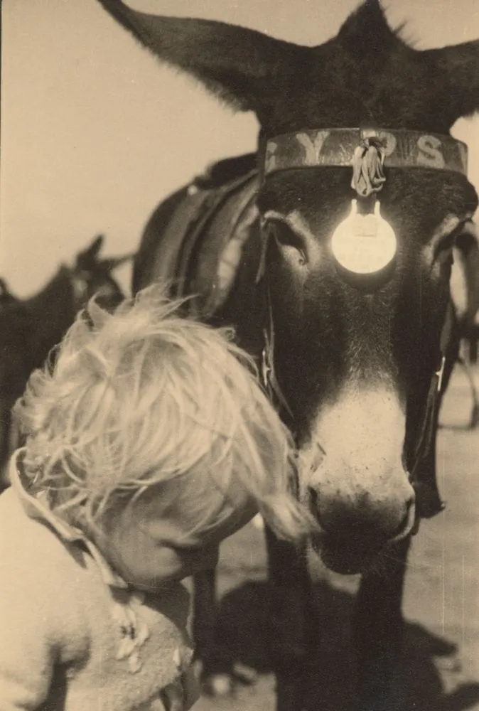 Joanna Johnson and 'Gypsy' the donkey, England