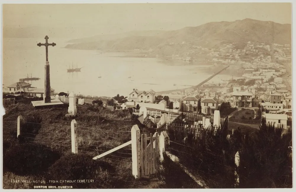 Wellington, from catholic cemetery