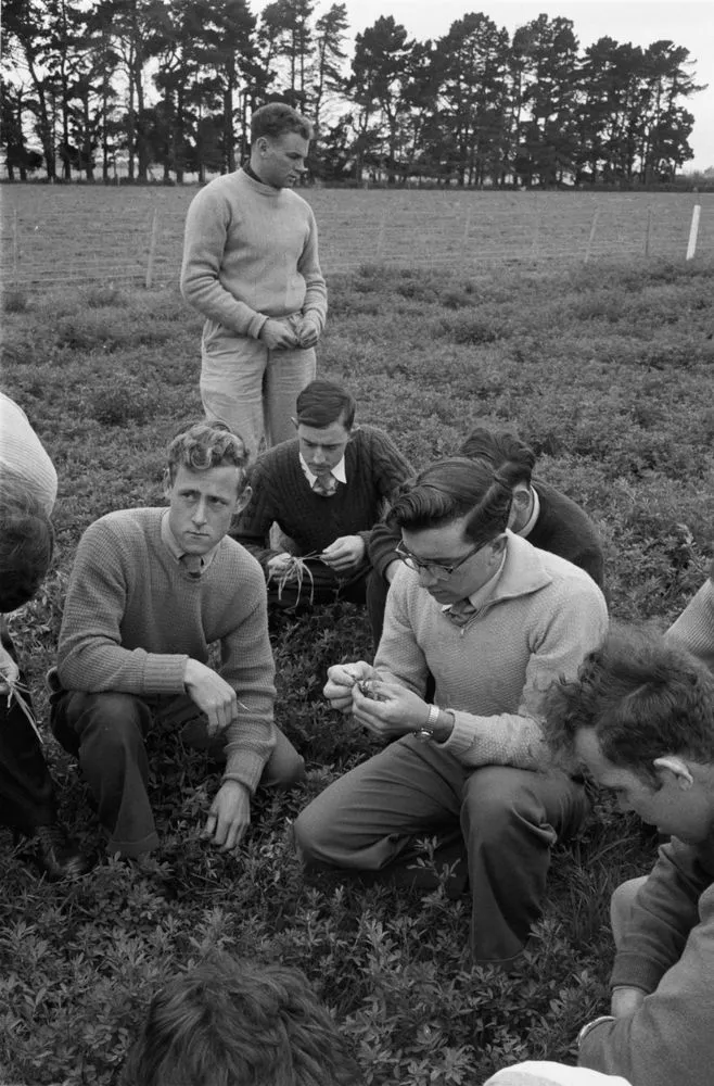 (Men looking at grass in a field)