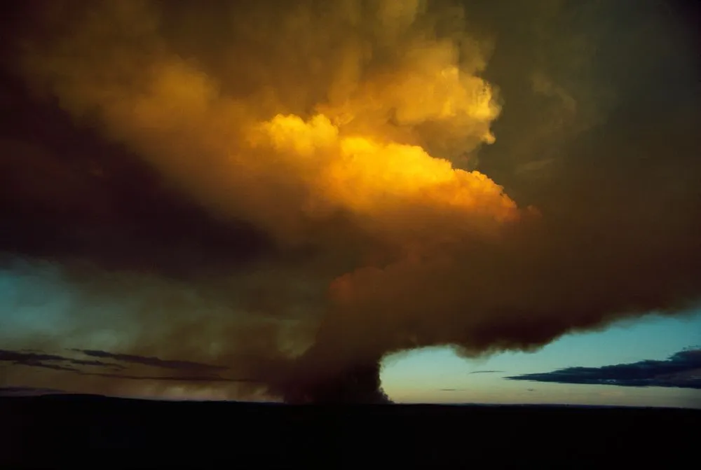 Burning forest, Taupo