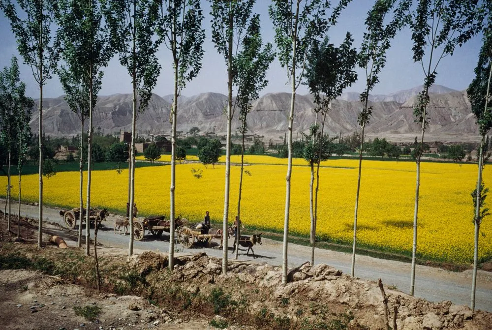 Near Sanmen Gorge, Henan province, China