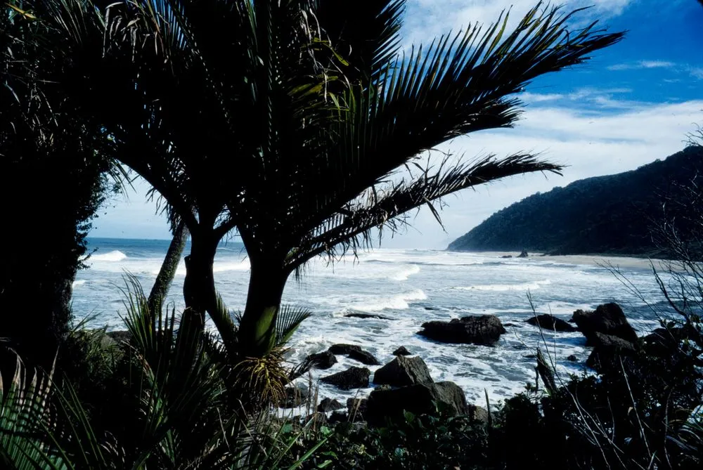 Heaphy Track