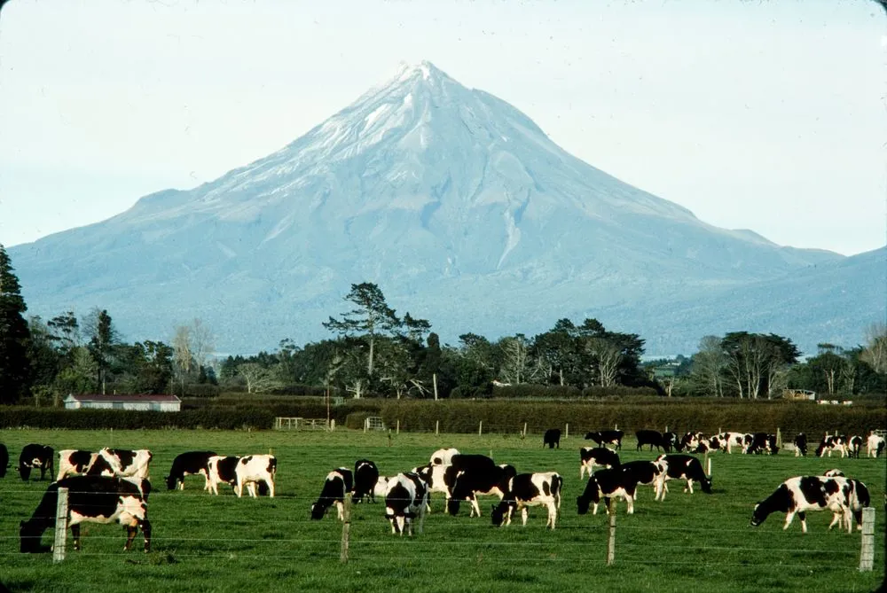 Dairy farm, Taranaki