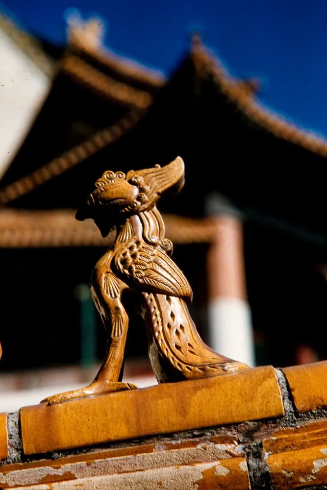 China Series: Forbidden City Roof Detail, Peking
