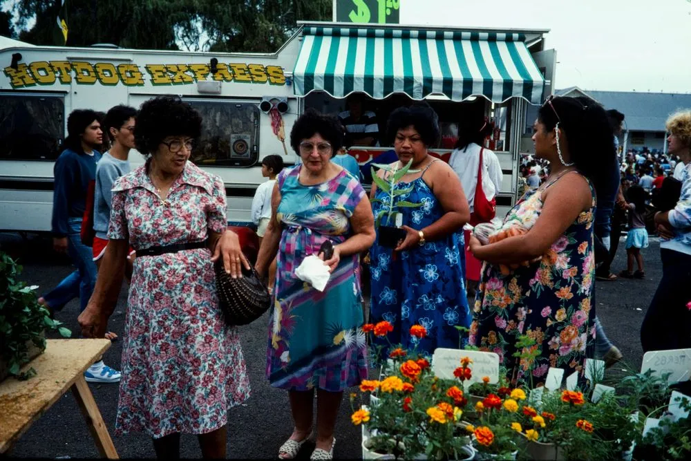 New Zealand Recreation: Avondale Market