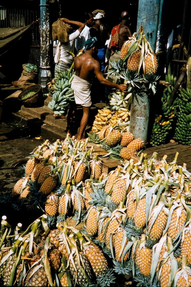 Ceylon (Sri Lanka)