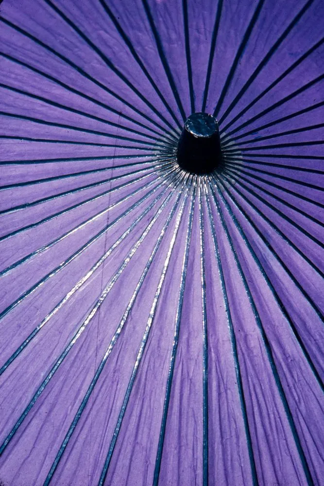 Japan Series: Purple Umbrella