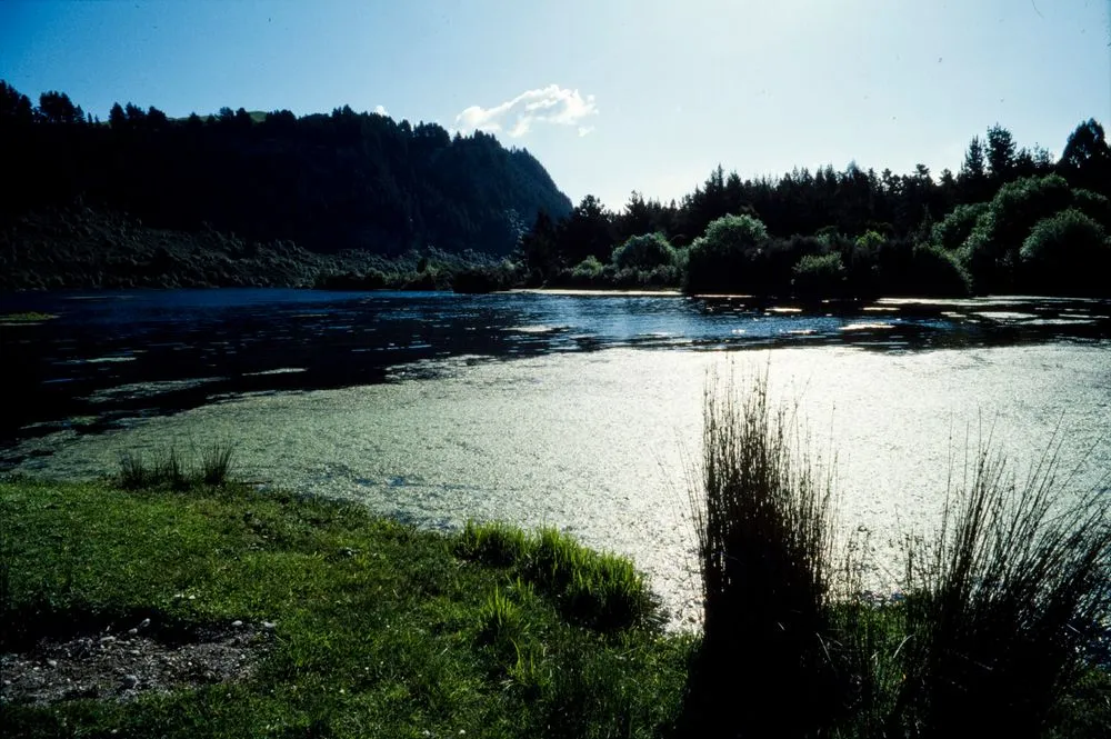 Lake Whakamaru - Atiamuri