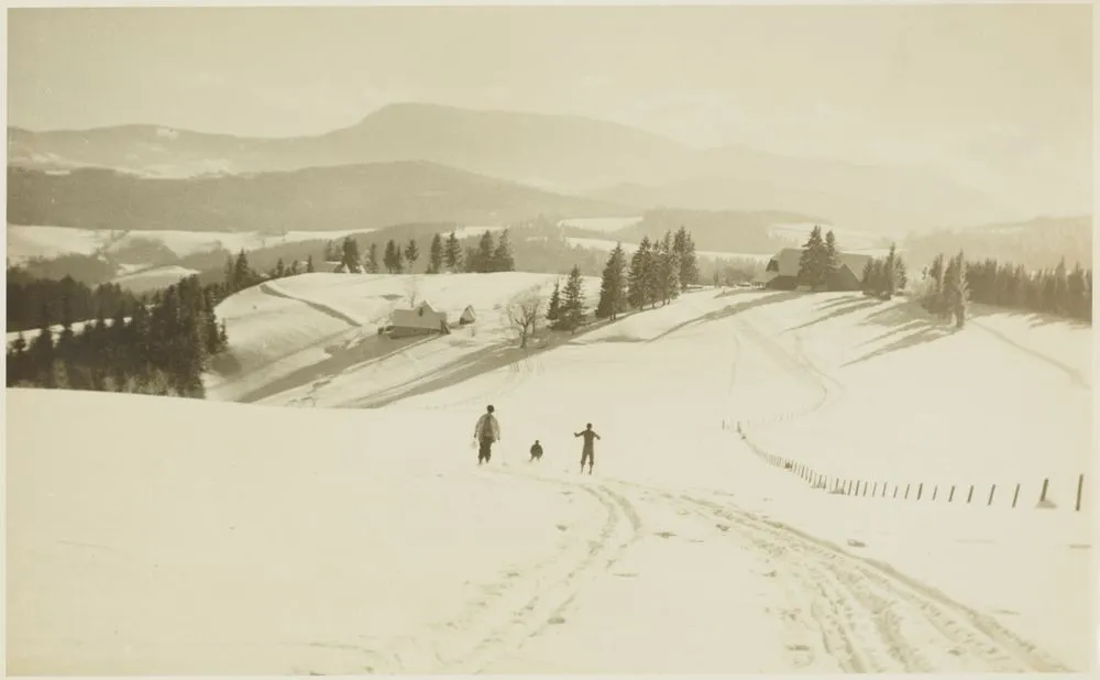 [winter landscape]