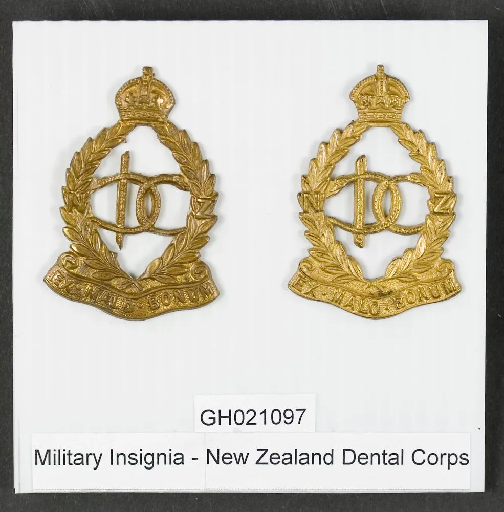 Military Insignia - Royal New Zealand Dental Corps