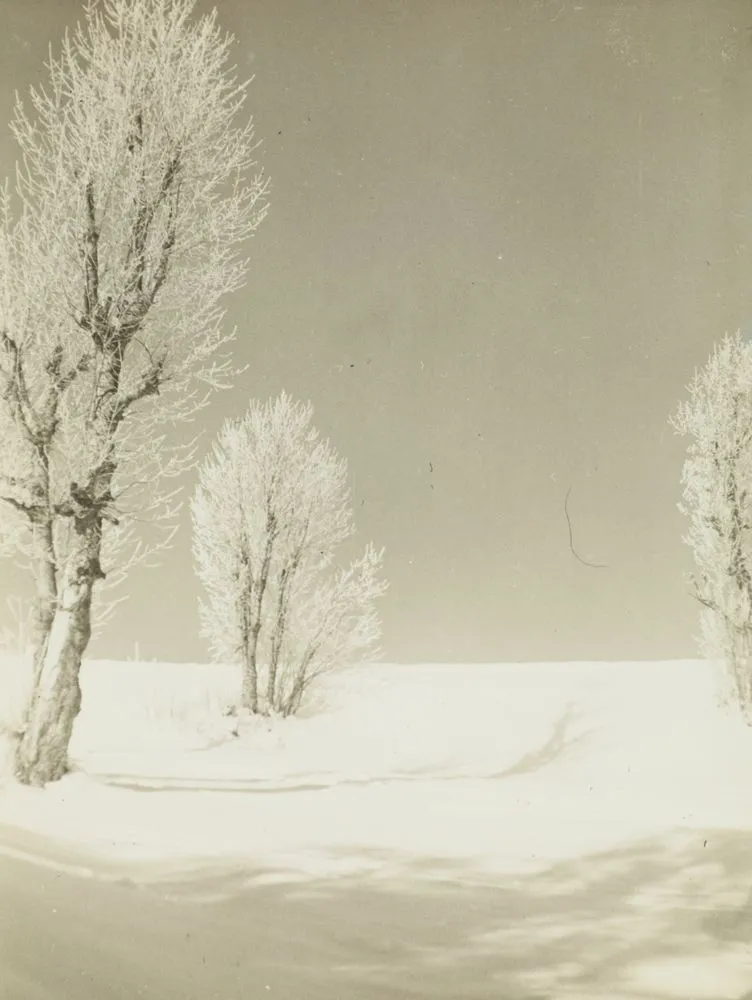 [winter landscape]