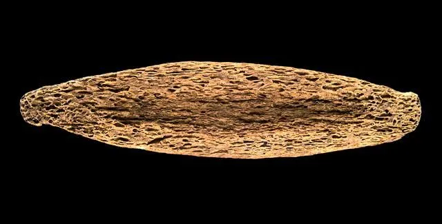 Kauawhi (fish hook shank)