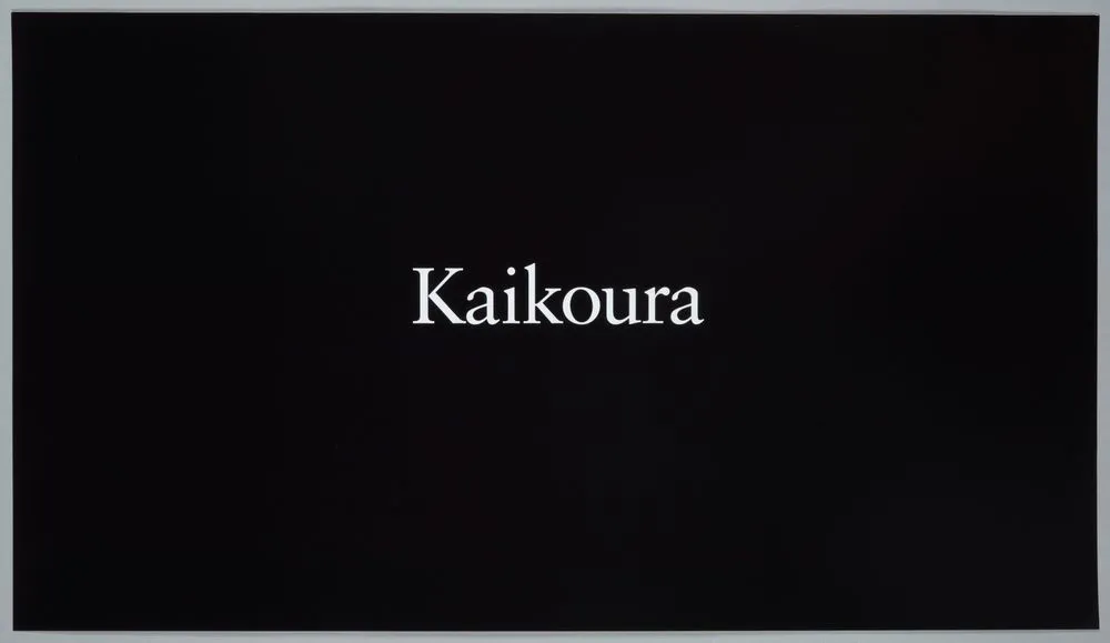 Untitled II. From: Te hikoi ō Kati Kuri | The journey of Kati Kuri - Kaikoura