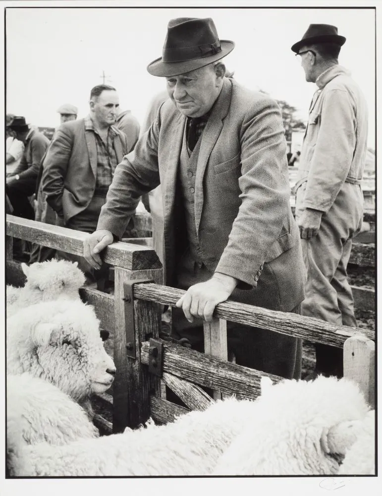 Lorneville saleyards, Invercargill