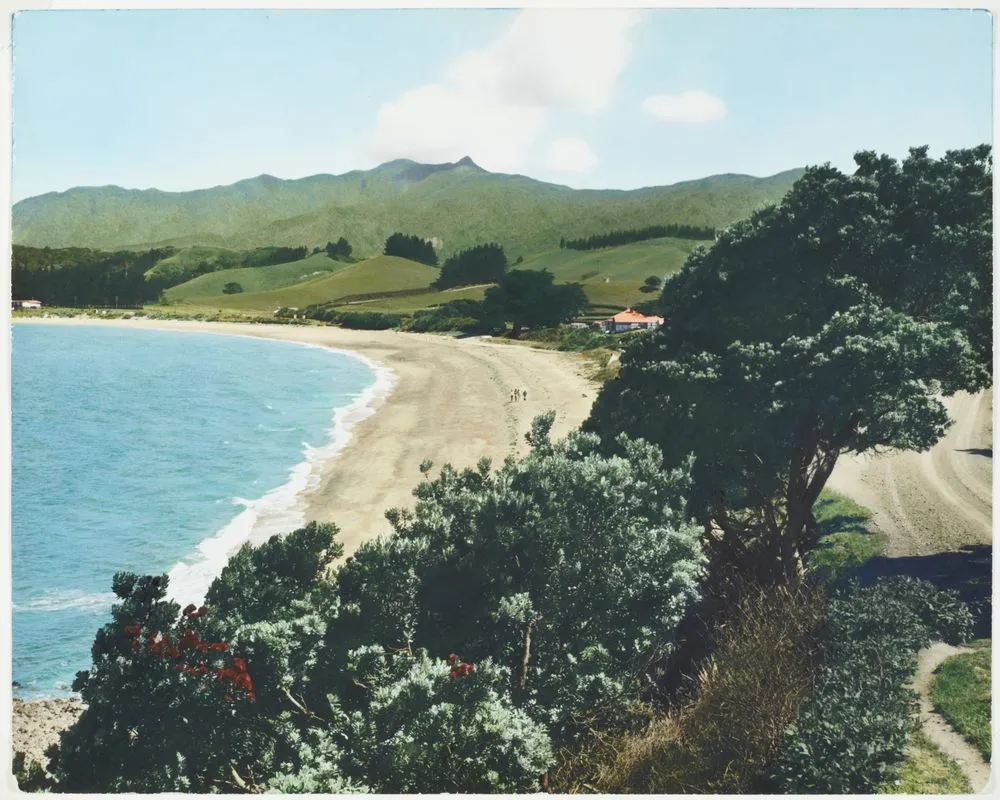 Otautu Bay, Coromandel