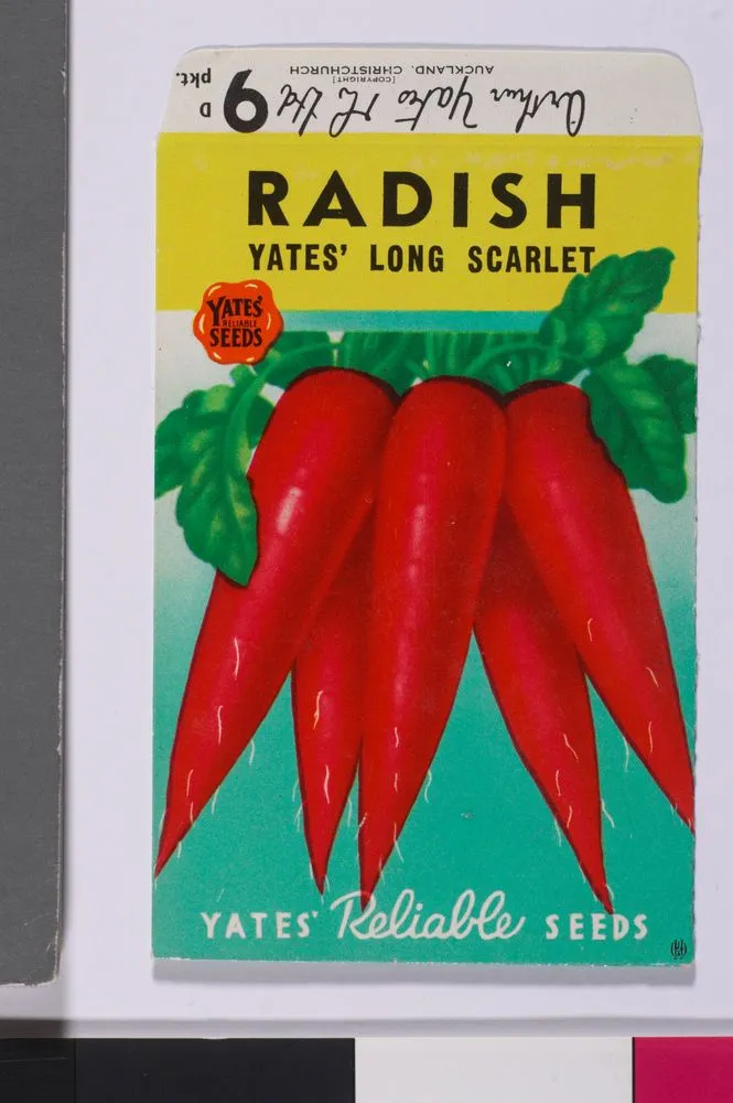 Small Yates Vegetable Seed Packet - Sample - "Radish - Yates' Long Scarlet"
