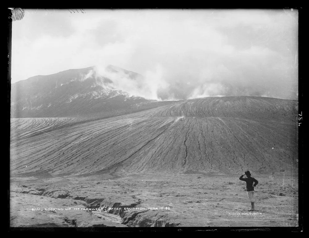 Looking up Mount Tarawera, after eruption June 10 1886