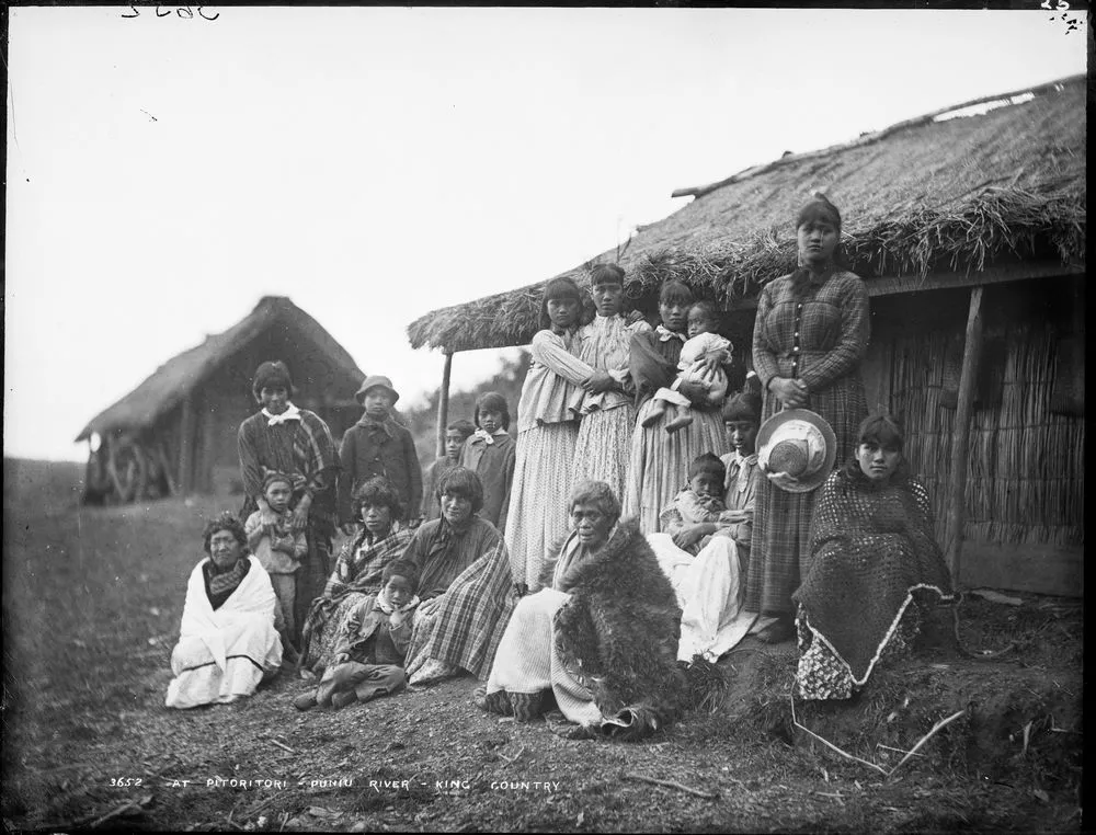 At Pitoritori, Puniu River, King Country