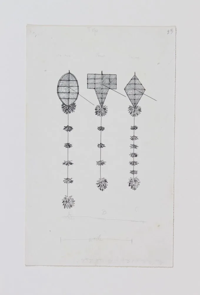 Drawings of kites (for Games and Pastimes of the Maori by Elsdon Best)