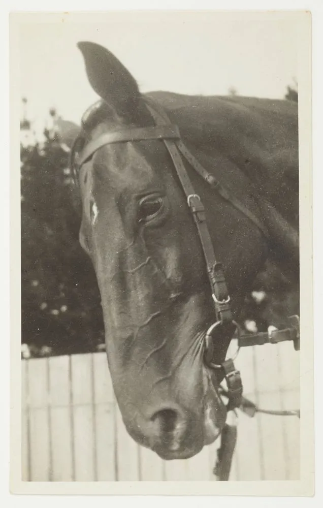 Phar Lap