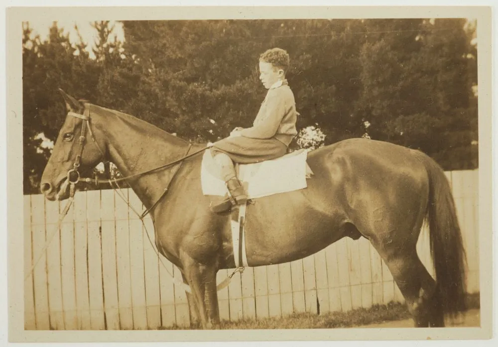 Phar Lap and rider