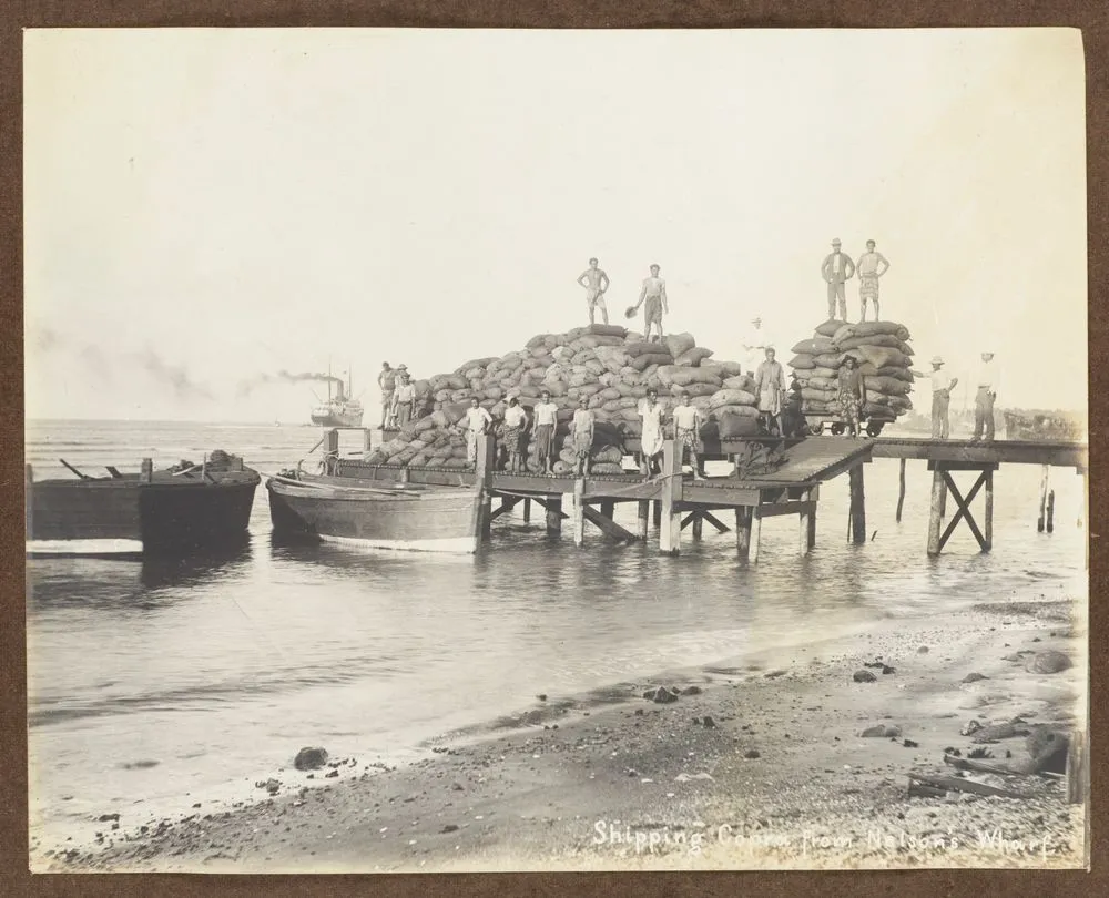 Shipping copra from Nelson's Wharf. From the album: Samoa