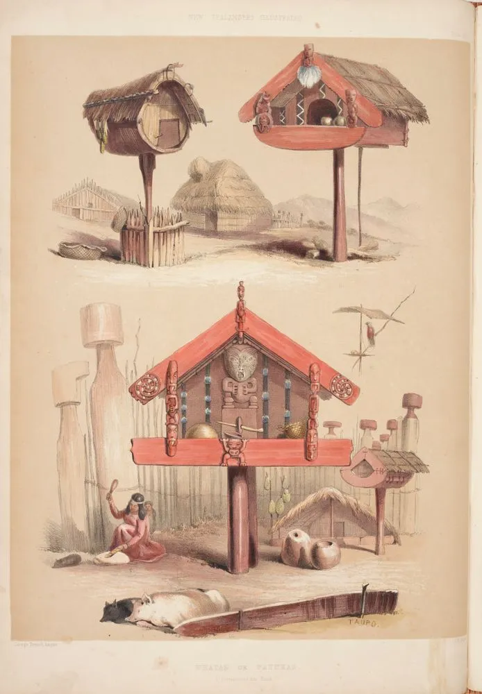 Whatas, or Patukas, storehouses for food. Plate 30. From the book: The New Zealanders