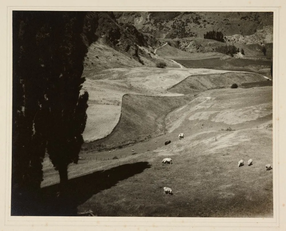 Untitled [Pastoral scene with sheep]