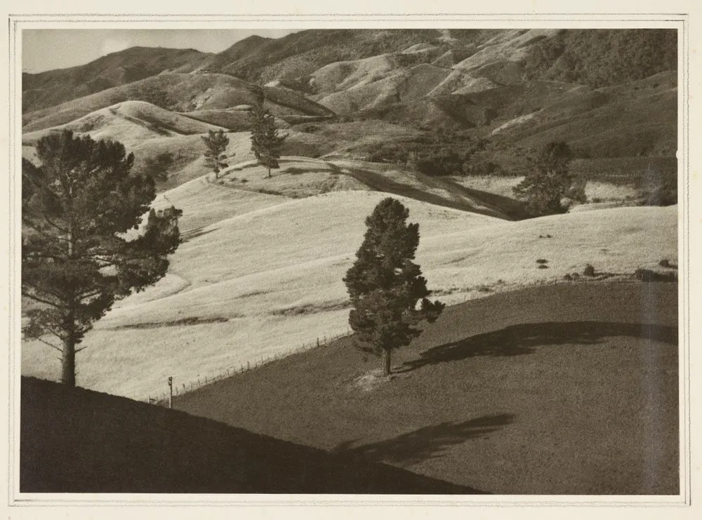Untitled [pasture landscape]