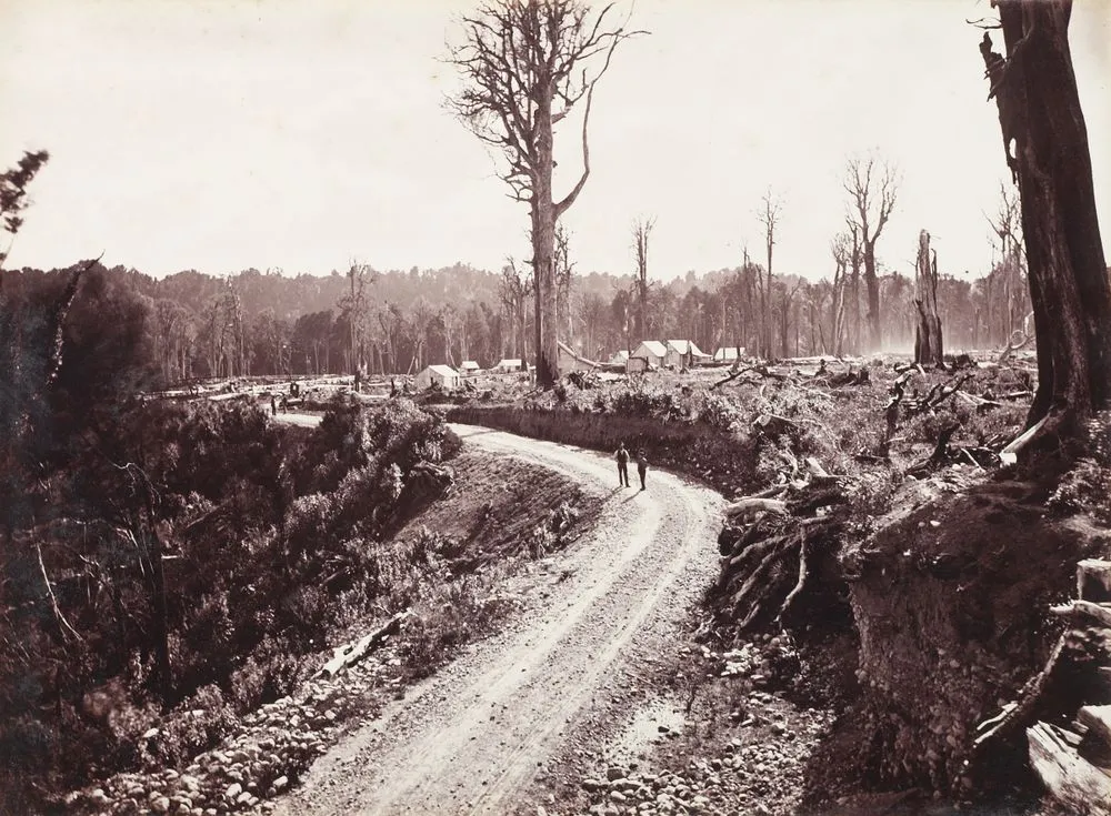 "Ecatahuna" [Eketahuna], The Forty Mile Bush, NZ. From the album: Views of New Zealand Scenery/Views of England, N. America, Hawaii and N.Z.