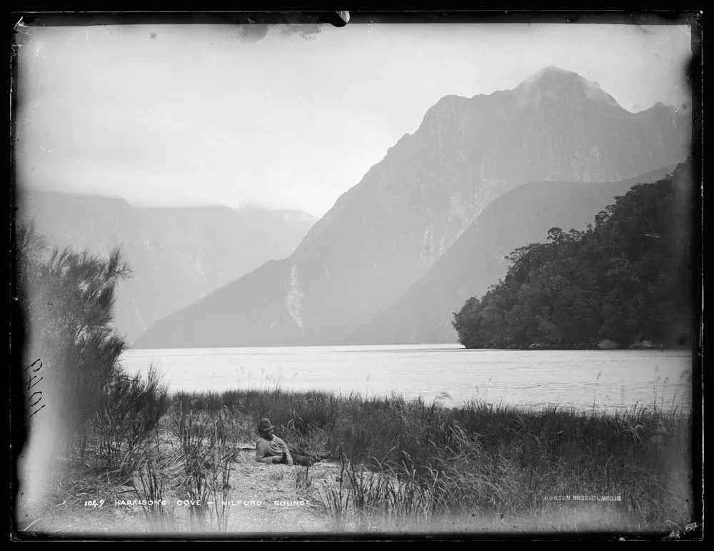 Harrison's Cove, Milford Sound