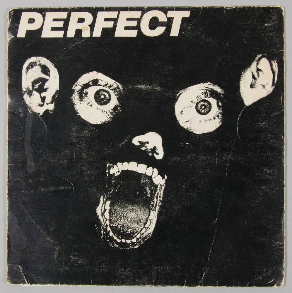 Record - "Perfect" by The Features