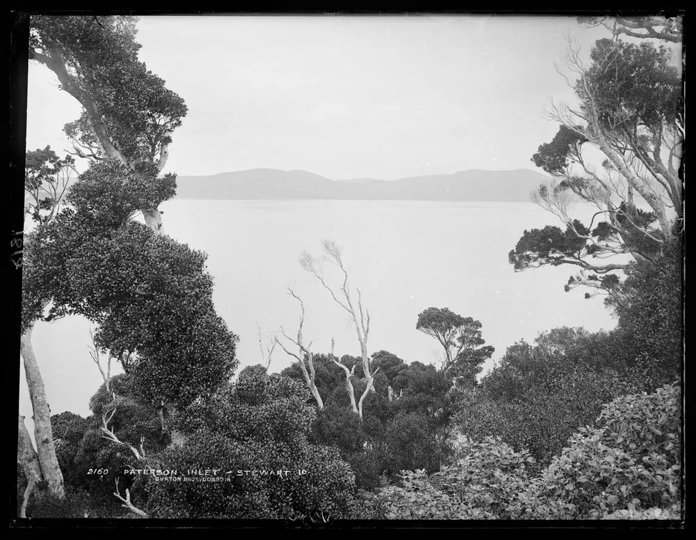 Paterson Inlet, Stewart Island