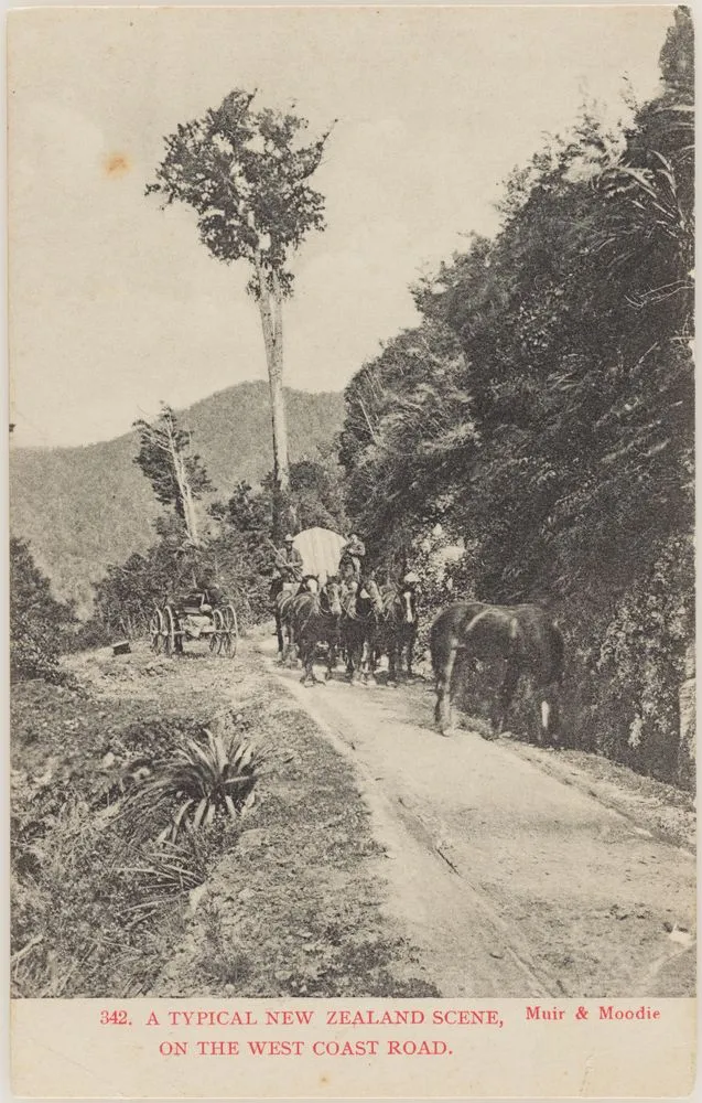 A typical New Zealand scene, West Coast Road