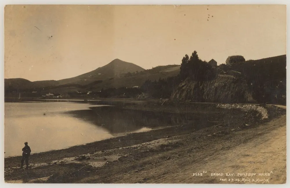 Broad Bay, Dunedin Harbour
