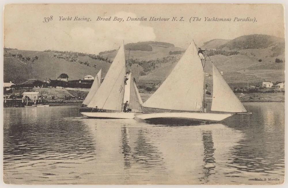 Yacht Racing, Broad Bay, Dunedin Harbour, New Zealand