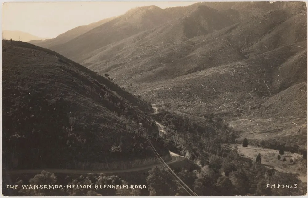 The Wangamoa, Nelson-Blenheim road
