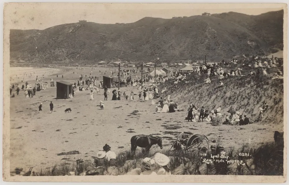 Lyall Bay