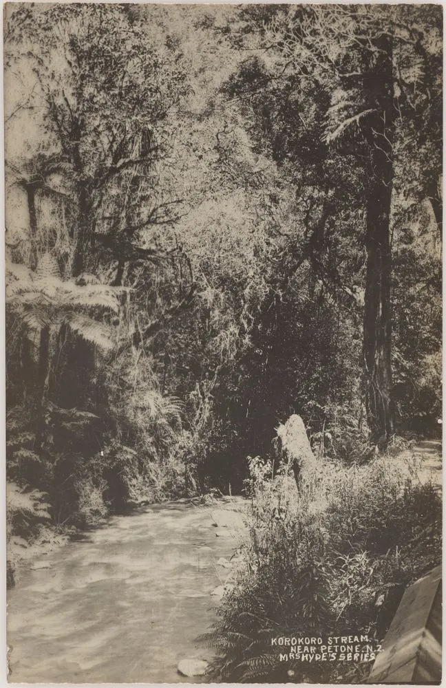 Korokoro stream, near Petone, N.Z.