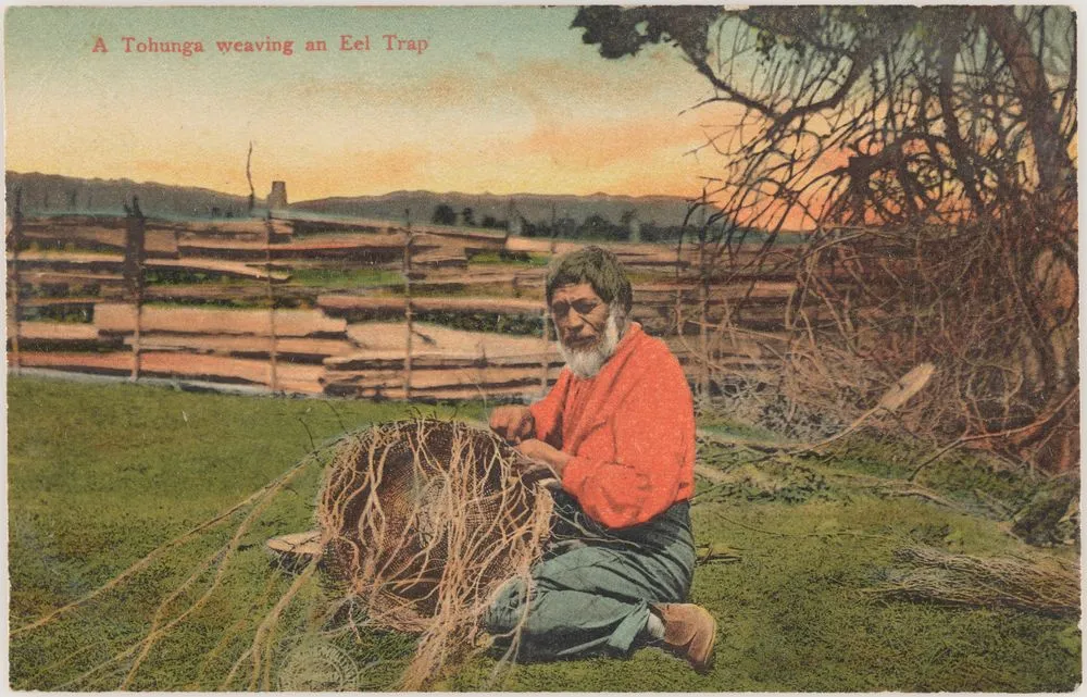 A Tohunga weaving an eel trap