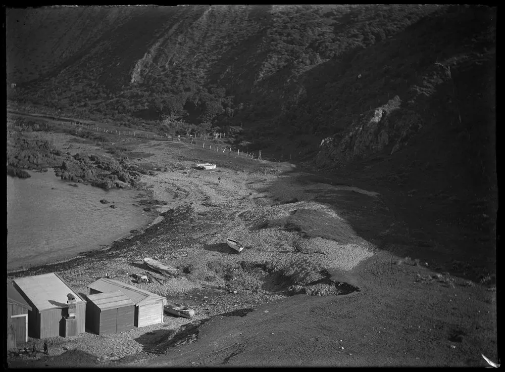 Raised Beaches - Wellington