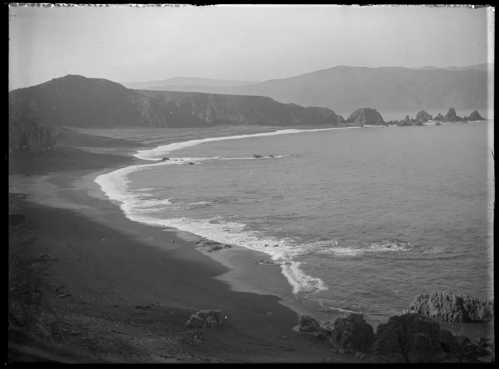 Raised Beaches - Wellington