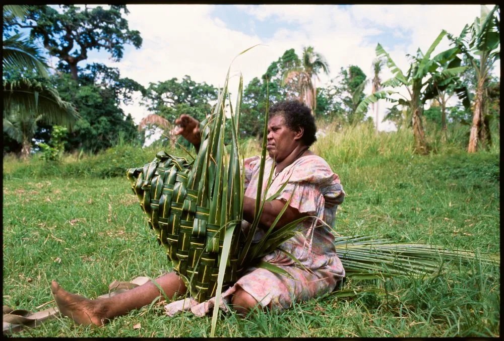 Woman weaving a basket from coconut palm leaves, Vanuatu