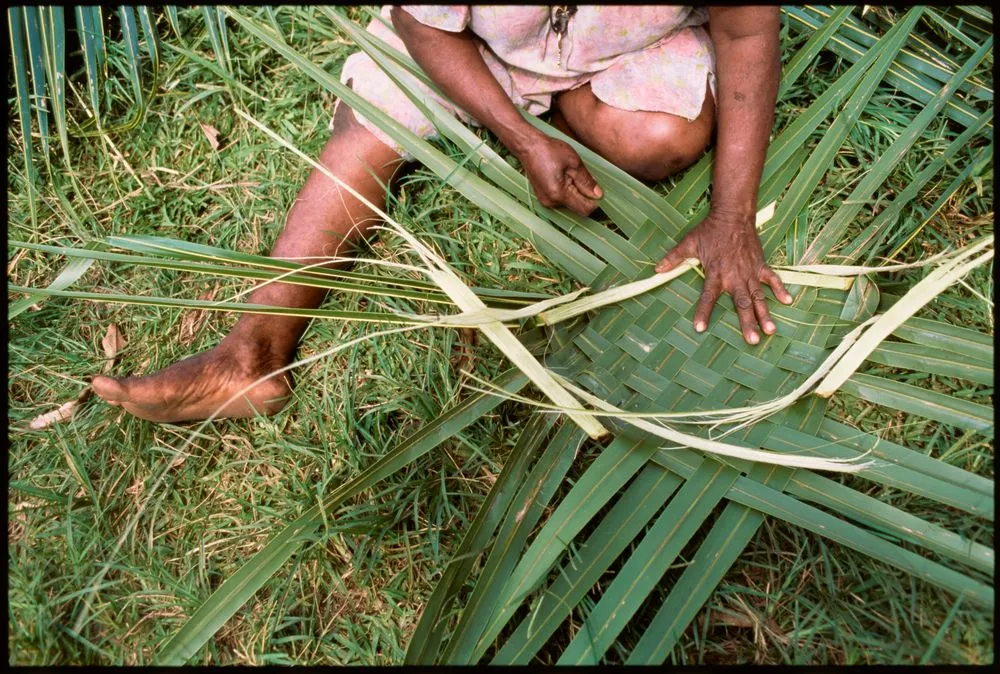 Woman weaving a basket from coconut palm leaves, Vanuatu