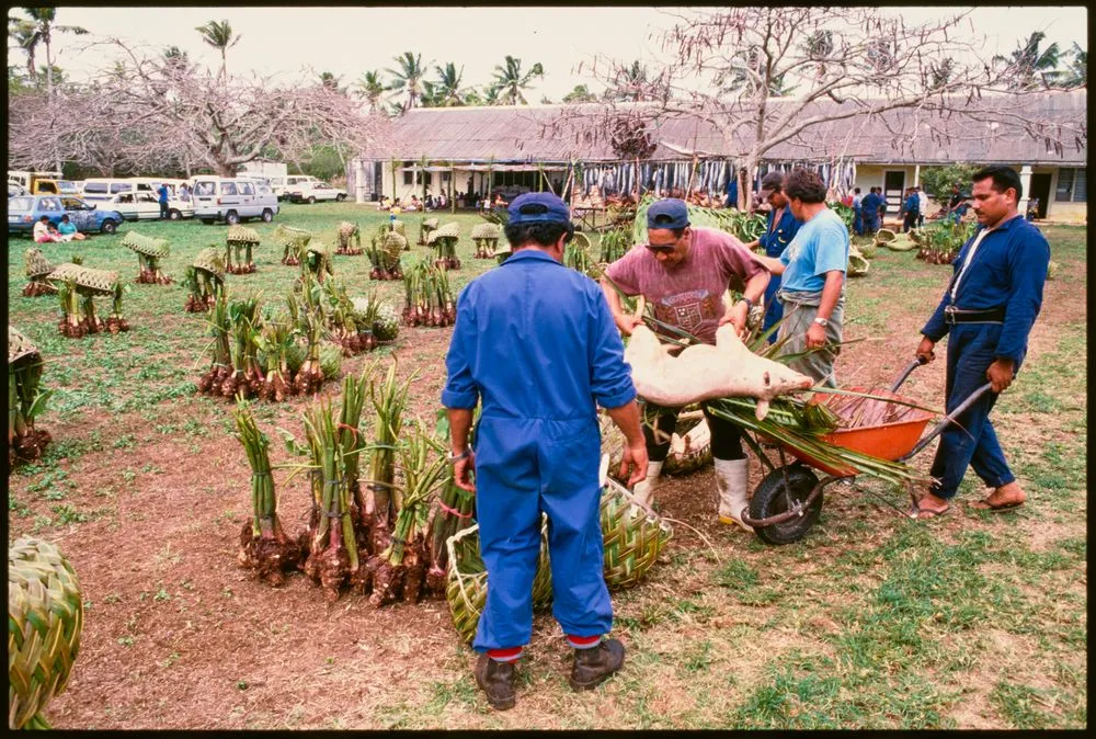 Food division, Lakepa, Niue