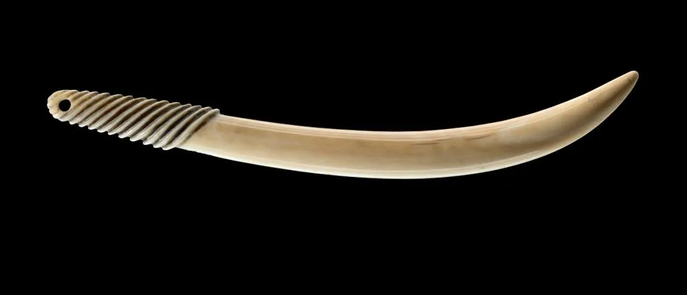 Aurei (cloak pin)