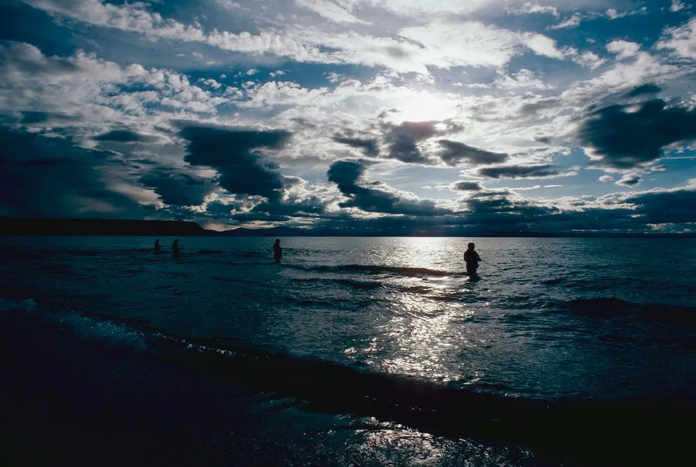 New Zealand Recreation: Trout Fishing